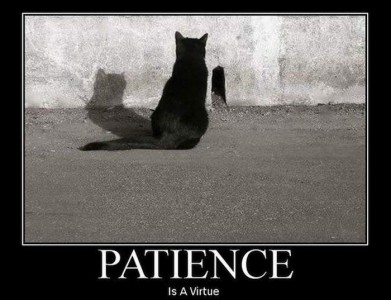 patience-is-a-virtue-391x300.jpg